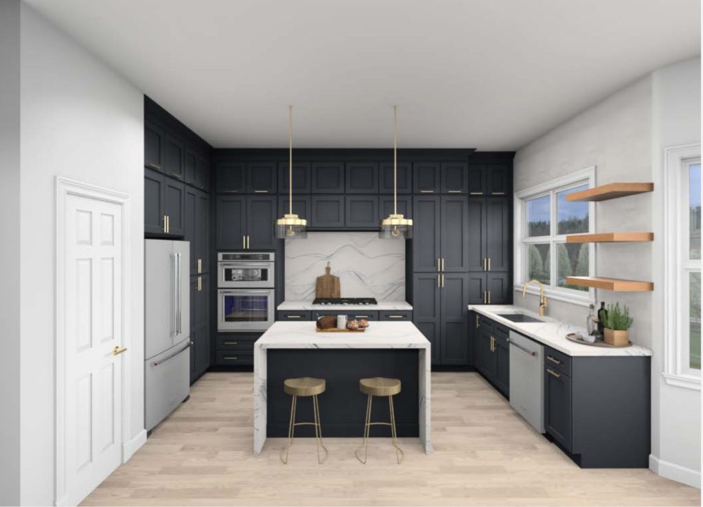 computer aided design of black and white kitchen